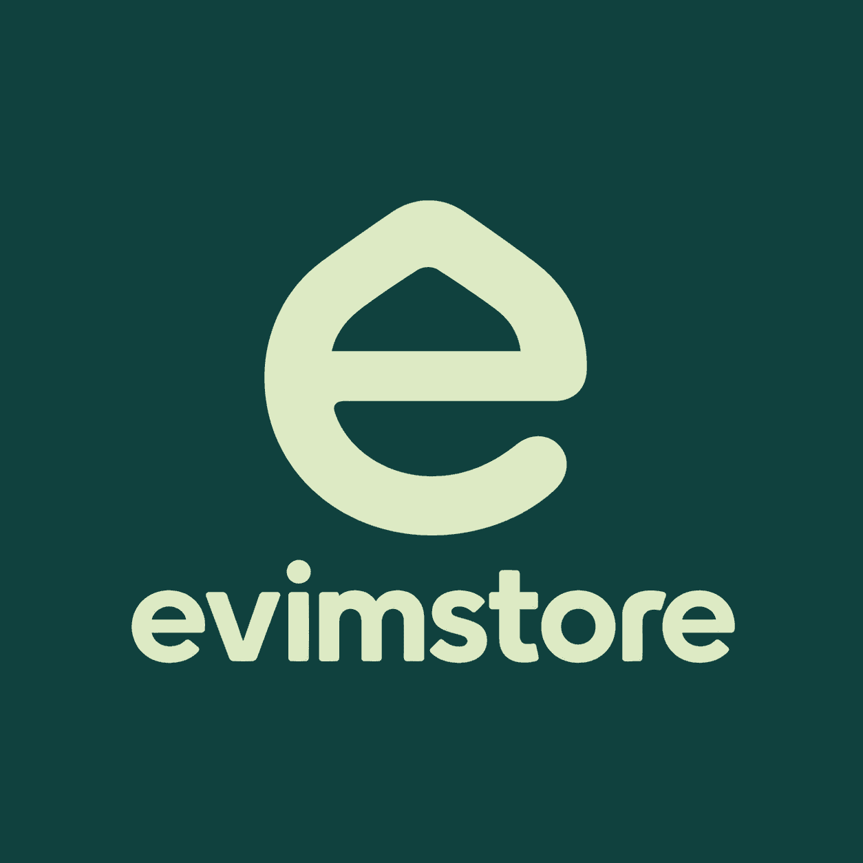 Evimstore logo